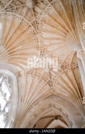 Image intérieur de la cathédrale de Peterborough, Cambridgeshire, Angleterre, Royaume-Uni - Ventilateur de plafond voûte détails de conception - WOP Banque D'Images