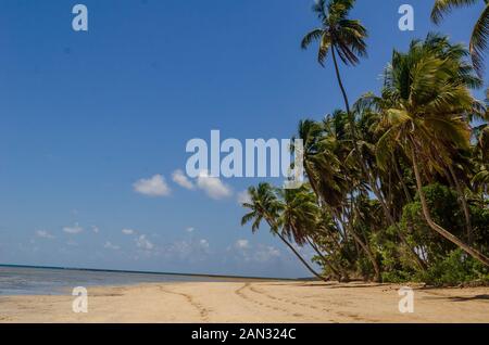 Sur "paysages de l'île de Boipeba, des plages de Bahia, Brésil Banque D'Images