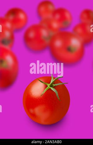 La plus belle tomate sur la scène, invitant entre autres sur fond violet Banque D'Images