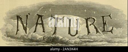 Nature . &lt; sob.^ll, ?) IBZ/ff,. UN JOURNAL HEBDOMADAIRE ILLUSTRÉ DE LA SCIENCE. Pour fliL- solul GroundOf Natiin- Inisti l'esprit ivhi&lt;h construit pour l'aye —Wordsworth. N° 1531 , vol. 59] LE JEUDI 2 MARS 1899. [Prix Sixpenence. Inscrit un journal au Bureau général des postes.] [Tous les droits sont réservés. KTISWTOaV SX. Co., LES FABRICANTS D'INSTRUMENTS SCIENTIFIQUES À SA MAJESTY la QUEENAND LE GOUVERNEMENT Philosophique Instru- .les Fabricants prêtés par nomination spéciale à la Banque D'Images