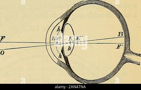 Principes de la physiologie humaine du Carpenter . Dissert., Abst. Dans Syd. Soc. Livre annuel, 1871-72, p. 339) constatait que la tension de l'œil variait dans des limites plutôt larges. C'est normal quand une pression de 150-225 grains produit une dépression d'un millimètre. * de lHemianopsie, 1880, p. 15. F Voir aussi Munk, VerHand. D. Phys. Gesells/Zu Berlin, Sitzng. 4 juillet 1879. T Centralblatt F. prakt. Heilkunde, bande iv. 1880, p. 40. SENS DE LA VISION. 721 la lumière est dirigée avant, et semble procéder à partir, après sa réfraction; andlastlv, de la focale, ou plutôt des deux points focaux, un behin Banque D'Images