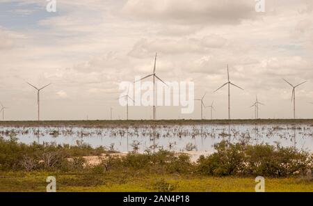 Éoliennes dans Dzilam Bravo, Yucatan, Mexique Banque D'Images