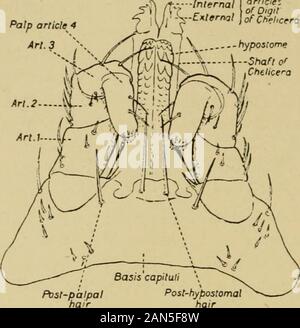 Manuel d'entomologie médicale de l'homme variousforms . st-tropicales qui infestent les insectes nuisibles. * La question de la destruction des acariens dans le domaine est parfois importante, et sous certaines conditions, est possible.Chittenden membres que beaucoup peut être accompli en gardant thegrass, mauvaises herbes, et inutile, de l'herbage tondu en étroite collaboration, pour mettre à jour themites au soleil. Il estime que, dans certains cas, bon peut être doneby dépoussiérer l'herbe et les autres plantes, après la coupe, avec des fleurs ofstdphur ou par pulvérisation d'une émulsion de kérosène dilué dans whichsulfur ont été mitigés. Plus récemment (1914) qu'il appelle un Banque D'Images