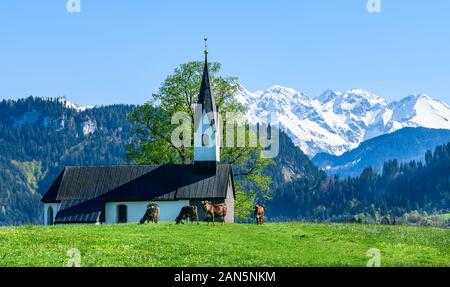 Église de Bolsterlang avec une magnifique toile de l'Alpes d'Allgäu Banque D'Images