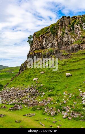 La Fairy Glen à la fin du printemps, début de l'été. Île de Skye, en Ecosse. Banque D'Images