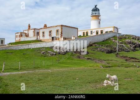 Neist Point Lighthouse, champs, falaises, et des moutons sur l'île de Skye en Écosse. Banque D'Images