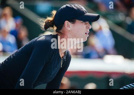 Melbourne, Australie. 16 janvier 2020 : MELBOURNE, AUSTRALIE - janvier 16, 2020 : Ajla Tomljanovic (AUS) en jouant à Maria Sharapova (RUS) à l'AgBioEn Kooyong Classic sur Jour 3 à Melbourne Australie Crédit : Chris Putnam/ZUMA/Alamy Fil Live News Banque D'Images