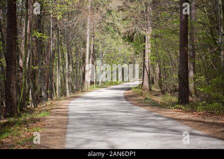 Chemin de forêt pavé d'un tour à droite. Qu'est-ce qui nous attend autour du virage ? Capturé dans une forêt près d'Ammerland (près du lac Starnberg). Banque D'Images