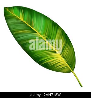 Les feuilles tropicales, Jungle floral botanique éléments. Les feuilles de palmier, de l'art illustration peinte avec aquarelles isolé sur fond blanc. Banque D'Images