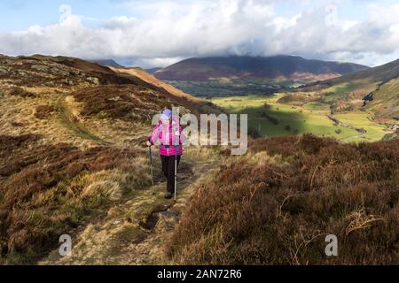 Walker sur les pentes inférieures de l'ensemble de haute Rigg avec St John's, dans la vallée en direction de Blencathra Lake District, Cumbria, Royaume-Uni Banque D'Images