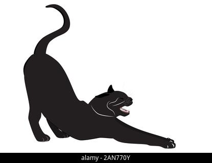 Chat noir extensible isolé sur fond blanc. Chaton noir Yoga icône, modèle plat Banque D'Images
