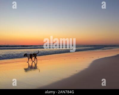 Magnifique coucher de soleil sur la plage dans l'ouest de l'Australie, près de Perth ville Banque D'Images