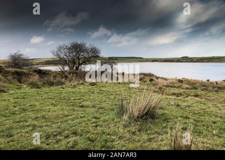 La lande sauvage autour du lac Colliford sur Bodmin Moor en Cornouailles. Banque D'Images