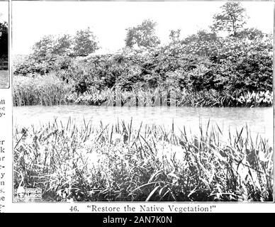 L'esprit des prairies paysagiste ; ce que les gens de l'Illinois ont fait et peut faire en vue de la conception et de la plantation d'un terrain privé et public pour l'efficacité et la beauté . partout et pour toujours. Allons-nous tourner tout le monde en plein air dans un luubcum ? La restauration des berges^ Illinoien EERY tlireegreat^ au courant des rivières dans whicli nous avons une part,le Mississipi, Wabash, et l'Illinois, mais torealize les merveilleuses possibilités d'ourwater système pour l'utiliser, les loisirs, l'andbeauty on doit voir une entirelyto site consacré nos cours d'eau, montrant combien peu sont les domaines qui small t Banque D'Images