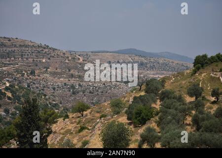 Paysage de collines de Bethléem Cisjordanie sur une journée ensoleillée avec des oliviers Banque D'Images