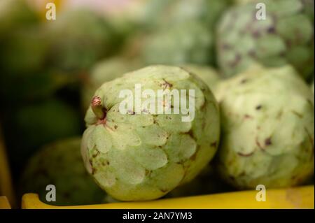 L'anone ou vert cherymoia les fruits exotiques mûrs close up Banque D'Images