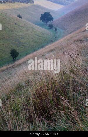 L'Dale, Bürglen, Yorkshire Wolds Banque D'Images