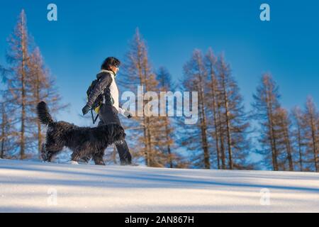 Fille qui marche avec son chien dans la neige Banque D'Images