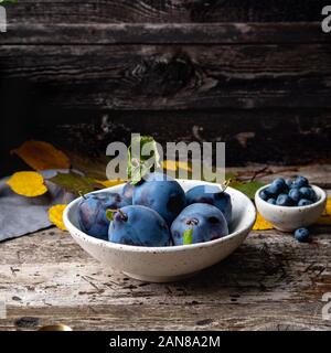 Automne fond bleu-violet avec des prunes dans un bol blanc sur la vieille table en bois gris, side view Banque D'Images