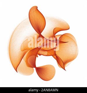 Abstract flower Orange isolé sur fond blanc. Illustration 2D Banque D'Images