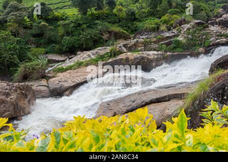 Atukkad Cascades près de Munnar à Kerala, Inde du Sud par jour nuageux en saison des pluies Banque D'Images