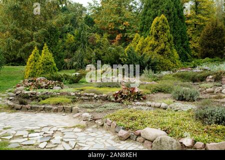 Jardin botanique alpin avec des pierres et des plantes en pleine croissance, conception de l'aménagement paysager Banque D'Images