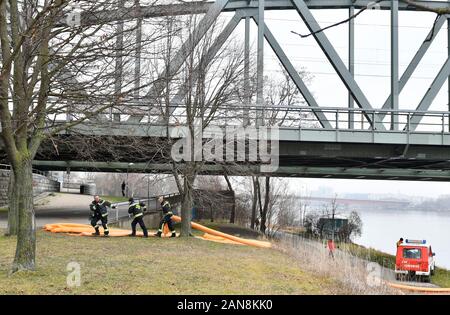 Vienne, Autriche. 16 janvier, 2020. Kilomètres de nappe de pétrole sur le Danube à Vienne et en Basse-Autriche. Tous les puits d'eau potable et les obstacles d'huile fermé. Credit : Franz Perc / Alamy Live News Banque D'Images