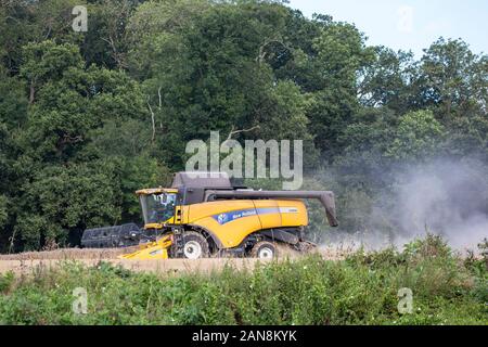 Vue de côté de la moissonneuse-batteuse UK isolé occupé au travail dans la campagne anglaise. L'agriculture au Royaume-Uni travailler avec des machines agricoles modernes. Banque D'Images