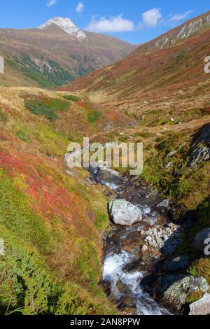 Le cours supérieur du mur (Mura) Rivière dans les Alpes autrichiennes Banque D'Images