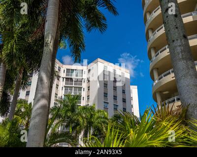 À la recherche jusqu'à de grands bâtiments dans le centre-ville de Sarasota en Floride tropical, United States Banque D'Images