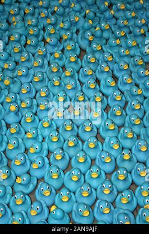 Canards en caoutchouc bleu Banque D'Images