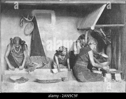 Scientific American (Volume 78 Numéro 03 (janvier 1898) . s taketheir lieux être togrind-de derrière le bac, c'est pour notunusual someyoung whois homme toact intéressés inone d'entre eux en tant que musicien.accroupis à proximité, il apeculiar purringsound rubbinga évolue par stick sur un autre-er un en whichsmall notcheshave,alors que l'été elles-mêmes filles de chanter à cet accompagnement. Le rub-bing est toujours effectué par une motion de l'organisme de hanches, les bras étant tenue rigide. À des intervalles thegrinding avec pierre d'un côté seulement, l'autre whilewith le blé ou repas brut est recueillie au bas upfrom et sid Banque D'Images