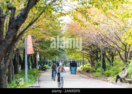 Les gens la bicyclette sur le pont à la Seoul Forest Park dans le centre-ville de Séoul, en Corée du Sud Banque D'Images