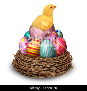 L'éclosion des oeufs de pâques poussin dans un nid comme un symbole de vacances de printemps pour la célébration d'un événement culturel religieux et traditionnels et un oeuf décoré. Banque D'Images
