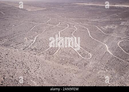 Les géoglyphes de la ligne Nazca précolombienne dans le désert de Nazca, dans le sud du Pérou Banque D'Images