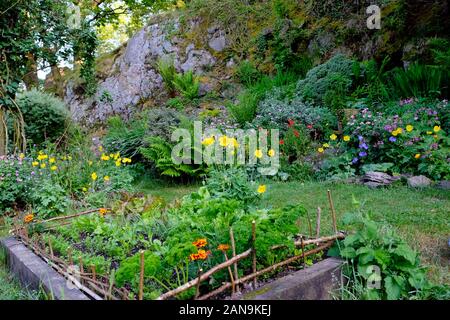 Vue sur un lit surélevé dans un petit jardin de campagne, avec des feuilles de salade, du persil, des fleurs et des légumes en mai Carmarthenshire Pays de Galles Royaume-Uni KATHY DEWITT Banque D'Images