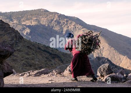 Femme berbère en bois de feu sur le dos en haut Atlas, Imlil, Maroc Banque D'Images