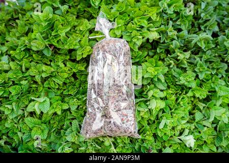 Sac d'herbes sèches prêt à préparer le thé sur fond de menthe fraîche à Marrakech, Maroc, Afrique Banque D'Images