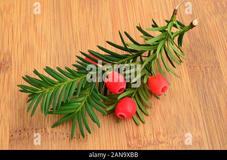 Baies rouges mûres, yew, vert frais sur les brindilles sur brown plank Banque D'Images