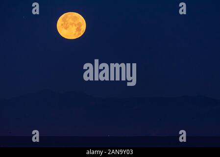 Pleine lune loup semble énorme à côté de étoile éloignée de ciel au-dessus de la silhouette du sommet d'une montagne qu'il descend dans l'horizon du matin. Banque D'Images