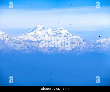 Swifts et martins remplissent l'air avant une vue de loin Nanda Devi le plus haut sommet himalayan entièrement en Inde de Binsar à Uttarakhand Inde Banque D'Images