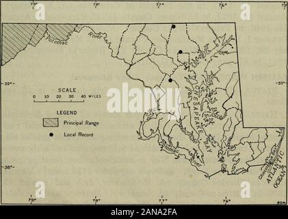 La faune de l'Amérique du Nord . (A. K. Fisher) ; 18 août 1927, dans BaltimoreCounty (F. C. Kirkwood). Dates de départ : extrême24 septembre 1955, à Baltimore Comté (Ch. M. Buchanan) ; septembre 17,1890, dans le District de Columbia (USNM-C. W. Richmond). Le nombre maximum d'hivernage ().-Printemps : 5 près de Sénèque,Comté de Montgomery, le 14 mai 1949 (L. M. Ashley) ; 3 dans le District de Columbia le 1er juin 1917 (F. Harper). Moucherolle tchébec Empidonax minimus (Baird et Baird). État-reproduction (voir fig. 33) : assez commune dans l'Alle-gheny article de montagne ; peu fréquent dans l'ouest de la vallée et theRidge sec Banque D'Images