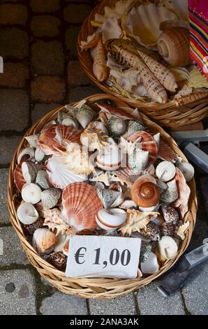 Divers coquillages dans un panier en osier à 1 euros Banque D'Images