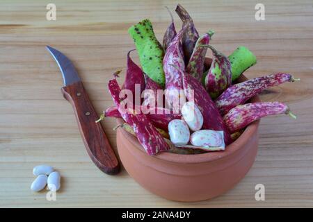 Les jeunes haricots rouges bio en pot en argile, avec couteau pour les légumes sur table en bois Banque D'Images