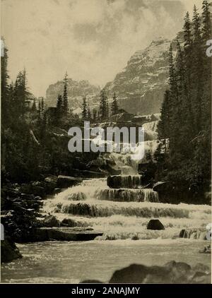 Un livre-guide pour la région de Lake Louise, comme Paradise Valley . ^^Chutes Giant Steps, une belle cascade ou offalls la relève, remarquable pour la formation particulière des rochers,si pas d'une grande hauteur ou grandeur, est à bien respectsunsurpassed pour sa taille. Ils peuvent être atteint comme suit:à partir de la fin du sentier près de la moraine (si les chevaux sont prises, elles doivent être envoyées vers le 1 % de miles-passerelle à junc-tion des deux flux), près de certaines roches comme coveredwith-table de bruyères et d'arbres, ou de n'importe quelle partie de la haute vallée, procéder northwestwards, traversée de la crête et descendre bas-ing à la Banque D'Images