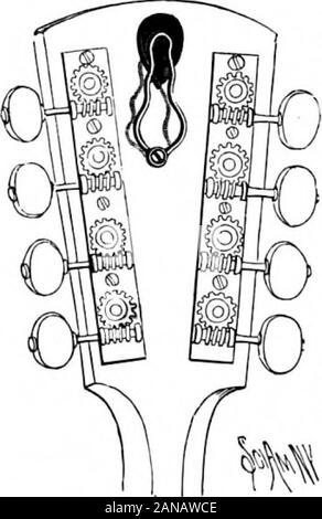 Scientific American Volume 75 Numéro 21 (novembre 1896) . d'une peur d'eux. Onehorse touchait presque le plus grand ours, mais ni l'itnor l'équipe d'un quatre-en-main qui showedany a adopté la nervosité. m-je ? I * UN INSTRUMENT DE MUSIQUE PIÈCE JOINTE. L'illustration représente une pièce jointe pour l'homme-dolins, guitares, etc., joué par l'utilisation d'un plectre ou dans du de l'EFFECTUER-er, par laquelle l'être pickmay convenientlysupported et al-façons f und avec theinstrument tout en notin l'utilisation, alors que d'readilyremovable itsholder playingwhen pour nécessaire. Theimprovement byAdam G. Mahler breveté a été, Banque D'Images