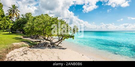 Vue panoramique du paysage de plage de Cayo Levantado, Baie de Samana, République dominicaine. Banque D'Images