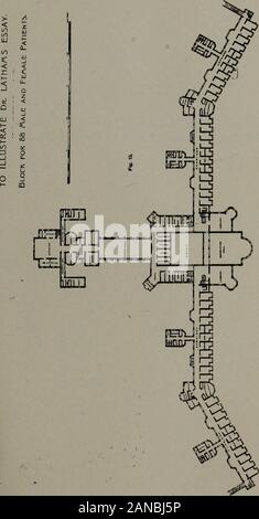 Communications médicales du Massachusetts Medical Society . Fig. VII.-véranda à Saranac en hiver.. &Gt ; 6 M ft &Lt ; 1/1 UJ b OQ IL) g Banque D'Images