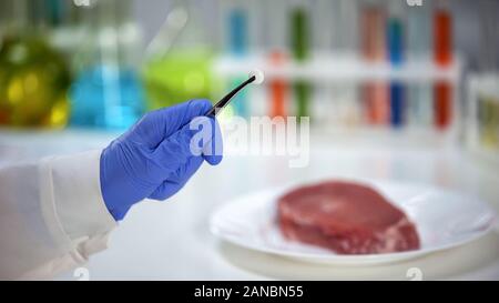 Vétérinaire holding tablet, échantillon de viande sur le contexte, les essais d'antibiotiques Banque D'Images