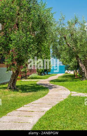 Vue idyllique à Cassone di Malcesine, beau village sur le lac de Garde. La Vénétie, province de Vérone, en Italie. Banque D'Images